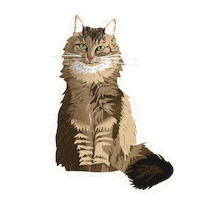 Sticker Chat Sticker