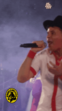 GIF by Caboclo Mestiço