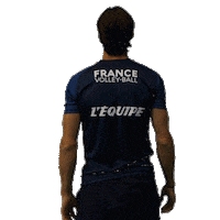 Volleyball Volley Sticker by EuroVolley2019Fr