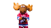 head shake no Sticker by Newcastle Northstars