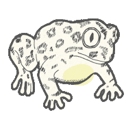 Frog Sticker by YOOLETTA