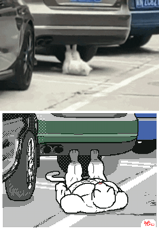 Digital art gif. On the top of a split screen a white cat lies under a car. His back paws rest on the car above him and he raises his body up as if doing crunches. The bottom screen is the same image except an animated cat with bulging muscles. 