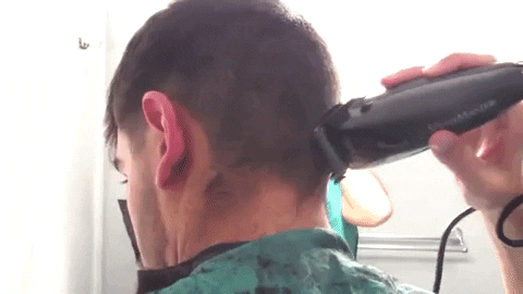 atomkeep giphygifmaker GIF