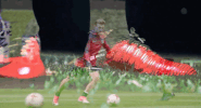 major league soccer GIF by D.C. United