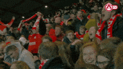 fans kvk GIF by KV Kortrijk