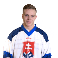 hockey yes Sticker by Pilsner Urquell