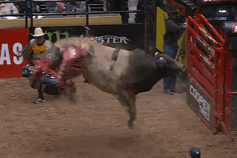 Wreck GIF by Professional Bull Riders (PBR)