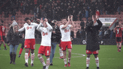 virgil van dijk celebration GIF by Southampton FC