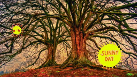 cghosh giphygifmaker giphyattribution GIF