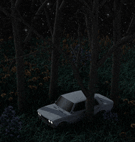 sashakatz sasha katz GIF