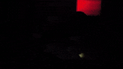 horror monster GIF by Crypt TV