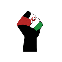 Mano Bandera Sticker