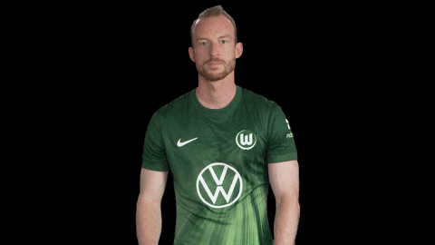Germany No GIF by VfL Wolfsburg
