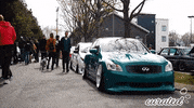 Show Stance GIF by Curated Stance!