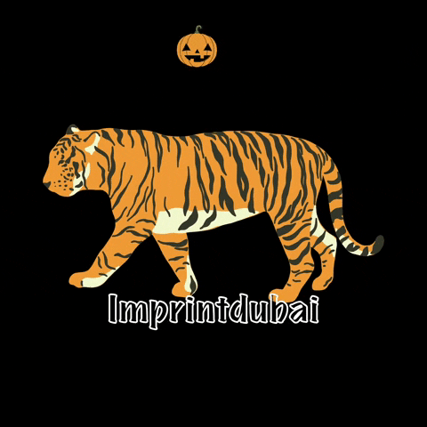 Halloween GIF by IMPRINTDUBAI