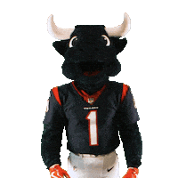 Sleepy Football Sticker by Houston Texans