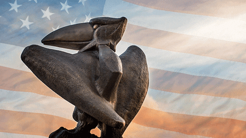 independence day america GIF by University of Kansas