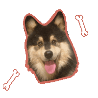 Good Boi Sticker by Lauranne leest