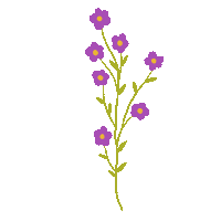 Flower Spring Sticker