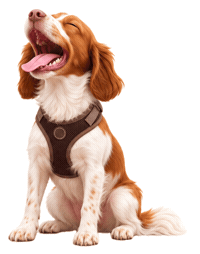 Happy Dog Sticker by MISTER WOOF