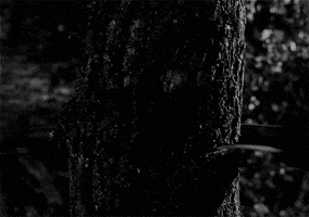 ingmar bergman GIF by Maudit