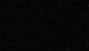2d animation fire fly GIF by Caleb Wood