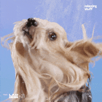 Shaking Three Uk GIF by Relaxing Stuff