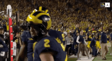 Go Blue Michigan Football GIF by Michigan Athletics