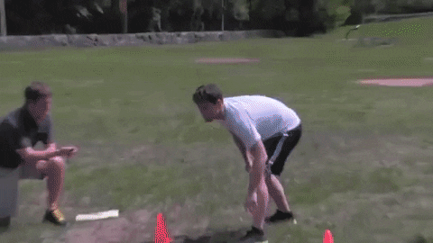 big cat kfc GIF by Barstool Sports