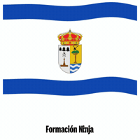 Castilla Y Leon Flag GIF by Formación Ninja
