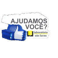 laborsaolucas labor labory laborajuda Sticker