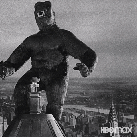 Black And White GIF by HBO Max