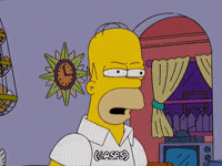 homer simpson GIF