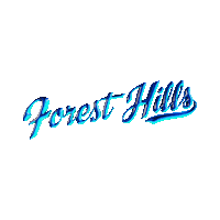 New York City Loop Sticker by Started In Queens