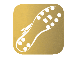 football soccer Sticker