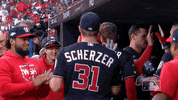 Major League Baseball Sport GIF by MLB