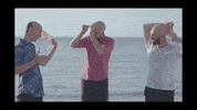 Ajr Brothers GIF by AJR