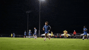 Usl2 Lbfc GIF by Lionsbridge FC