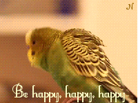 morning goog GIF