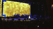 GIF by Tribeca Film Festival