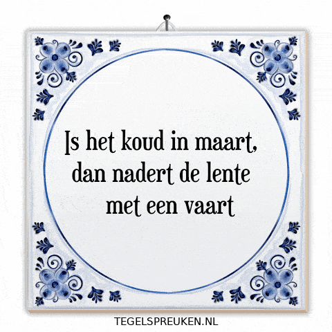 Humor Nl GIF by Tegelspreuken.nl