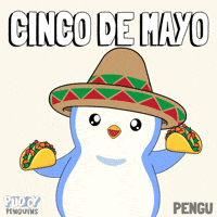 Vamos Spanish GIF by Pudgy Penguins