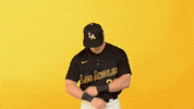 Cal State La Sport GIF by Cal State LA Golden Eagles