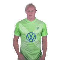 Happy Vfl Wolfsburg Sticker by Bundesliga