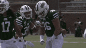 OhioBobcats football cats ncaa college football GIF