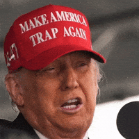 Make America Great Again Trump GIF by New 11