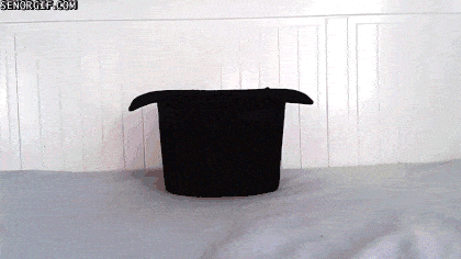 top hat GIF