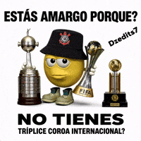 Corinthians Libertadores GIF