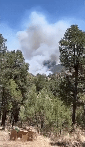 Black Fire Containment Increases  in Gila National Forest