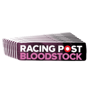 Sticker by bloodstock@racingpost.com